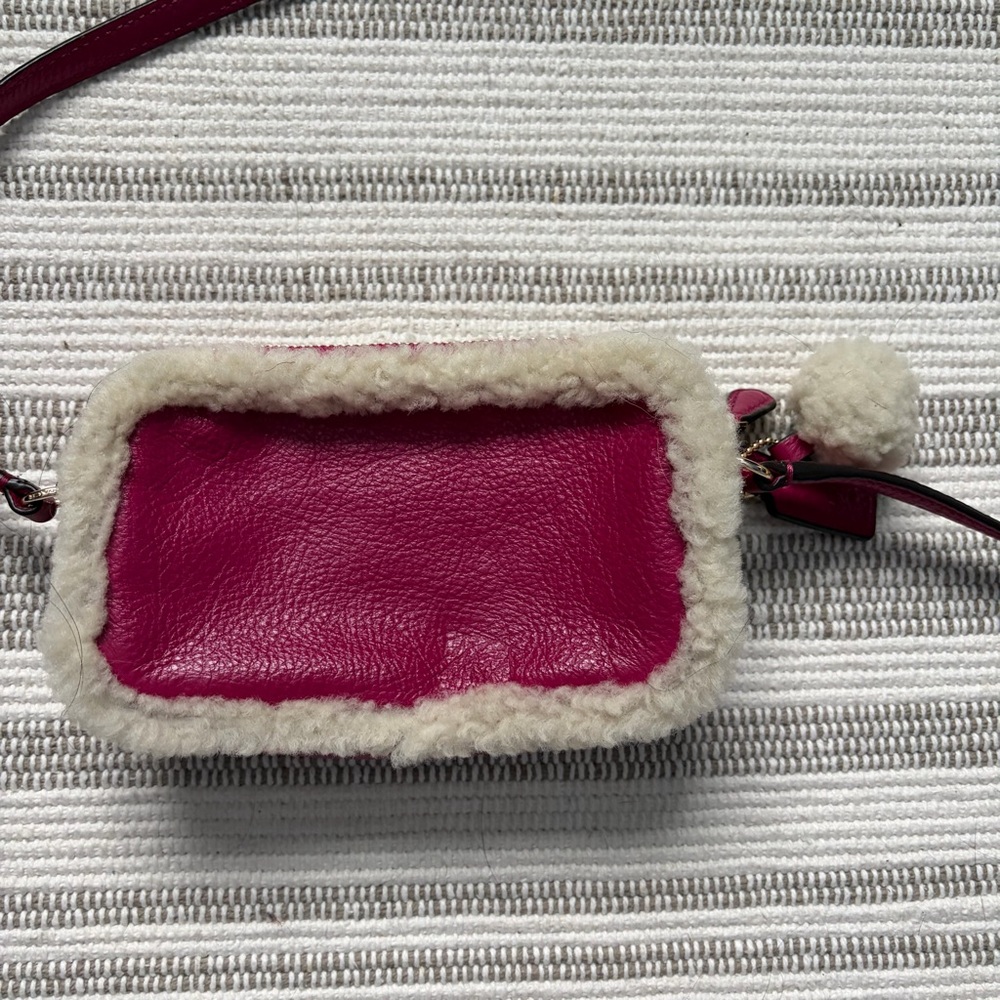 Coach Crossbody Pouch in Leather and Shearling Cranberry Natural - Picture 4 of 10